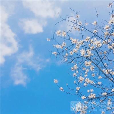 云墨剑舞九游版下载